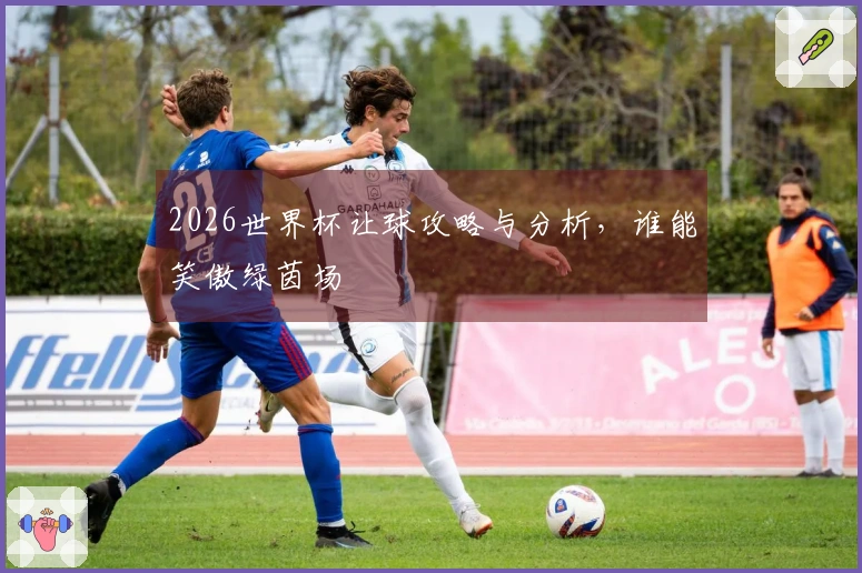 2026世界杯让球攻略与分析，谁能笑傲绿茵场