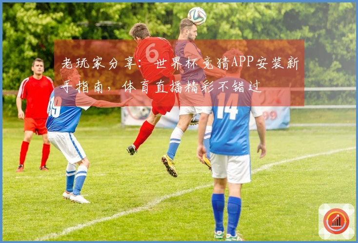 老玩家分享：世界杯竞猜APP安装新手指南，体育直播精彩不错过