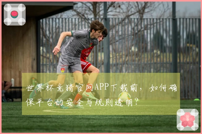 世界杯竞猜官网APP下载前,如何确保平台的安全与规则透明?