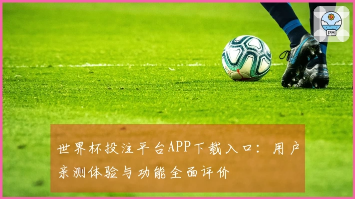 世界杯投注平台APP下载入口：用户亲测体验与功能全面评价