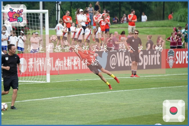 快速掌握世界杯买球主站入口，畅享体育直播新体验