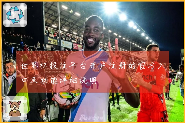 世界杯投注平台开户注册的官方入口及功能详细说明