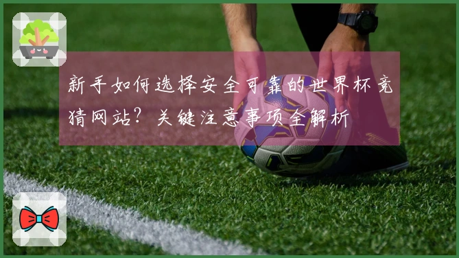 新手如何选择安全可靠的世界杯竞猜网站？关键注意事项全解析
