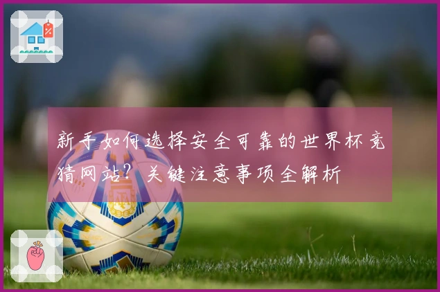 新手如何选择安全可靠的世界杯竞猜网站？关键注意事项全解析