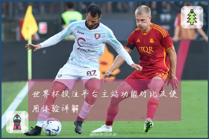 世界杯投注平台主站功能对比及使用体验详解