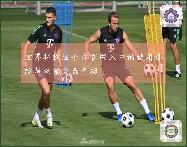 世界杯投注平台官网入口的使用体验与功能全面介绍