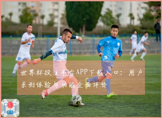 世界杯投注平台APP下载入口:用户亲测体验与功能全面评价