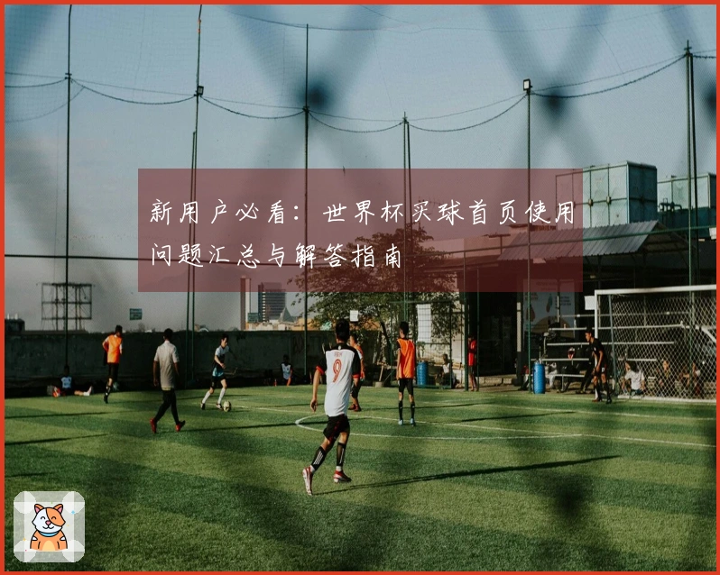 新用户必看:世界杯买球首页使用问题汇总与解答指南