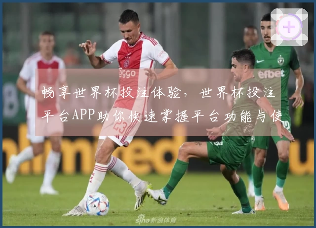 畅享世界杯投注体验，世界杯投注平台APP助你快速掌握平台功能与使用技巧