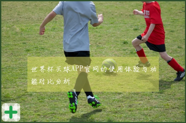 世界杯买球APP官网的使用体验与功能对比分析