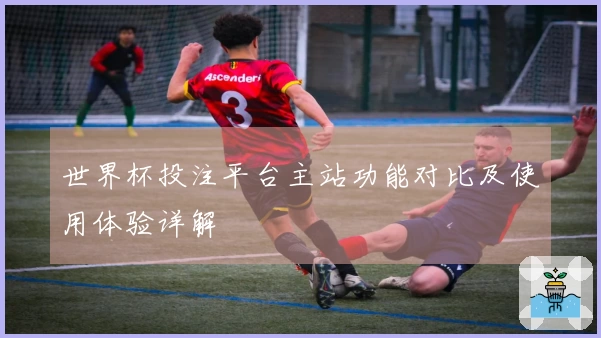 世界杯投注平台主站功能对比及使用体验详解
