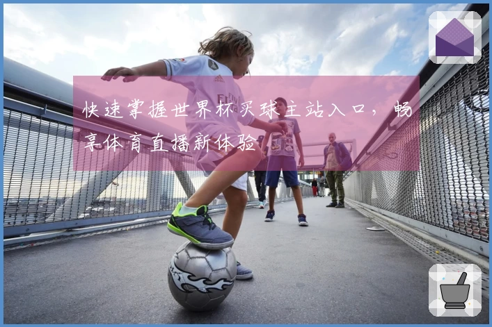 快速掌握世界杯买球主站入口，畅享体育直播新体验